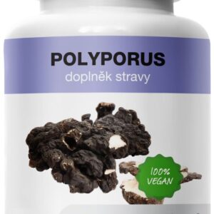 MycoMedica Polyporus 90 rastlinných kapsúl