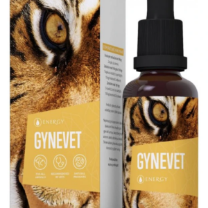 Energy Gynevet