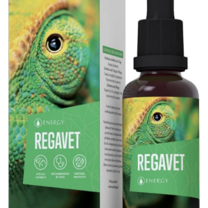Energy Regavet